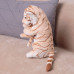 Мягкая игрушка Тигр с детенышем DW303007810LBR
